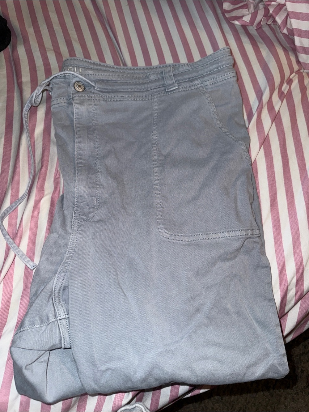 Light Gray/Blue woman’s American Eagle Pants. Size 24 Short